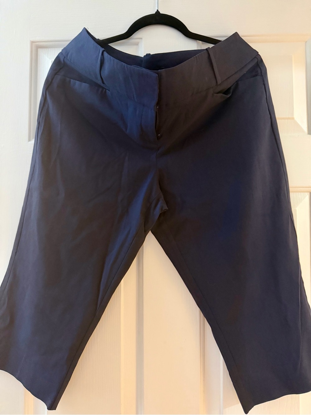 The Limited Navy Capris with Flat Front Waist